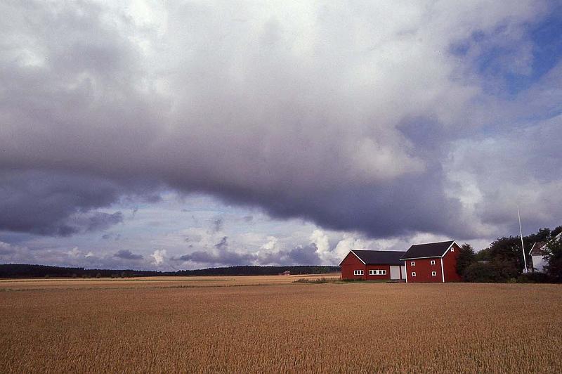 WT 3300 370-32 Norway.jpg